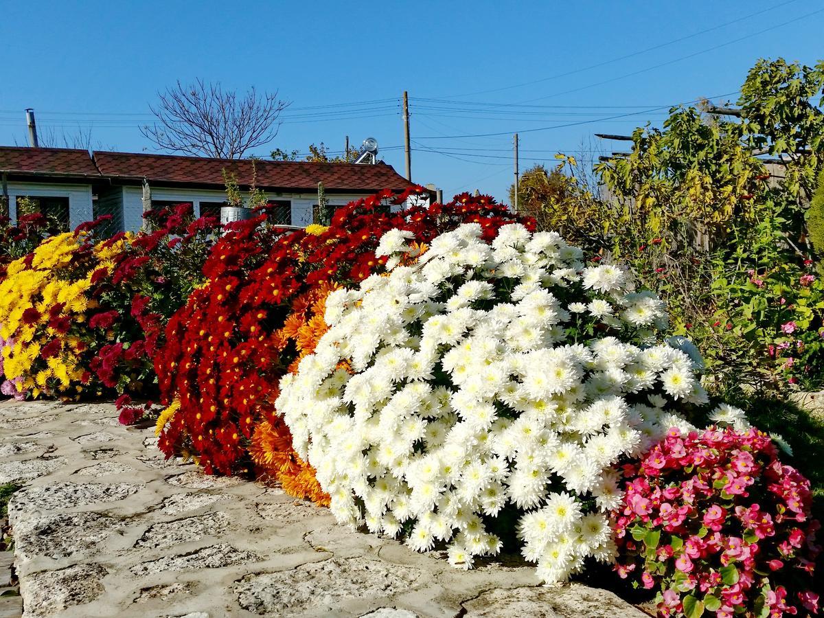 Kosta Bungalows Balgarevo Kültér fotó